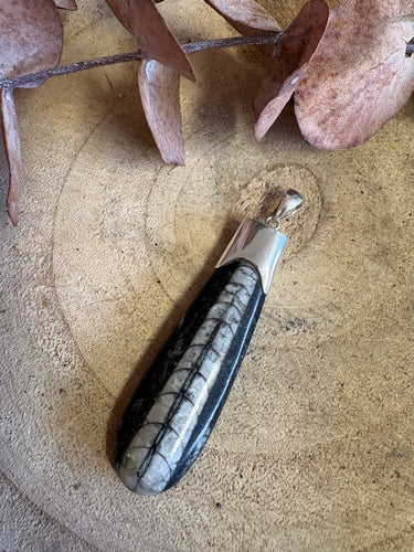 Sterling Silver Orthoceras Pendant SKU 25897