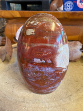 Petrified Wood Freeform SKU 25837