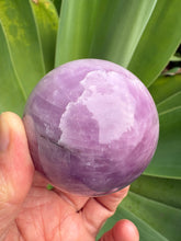 Kunzite Sphere SKU 26841