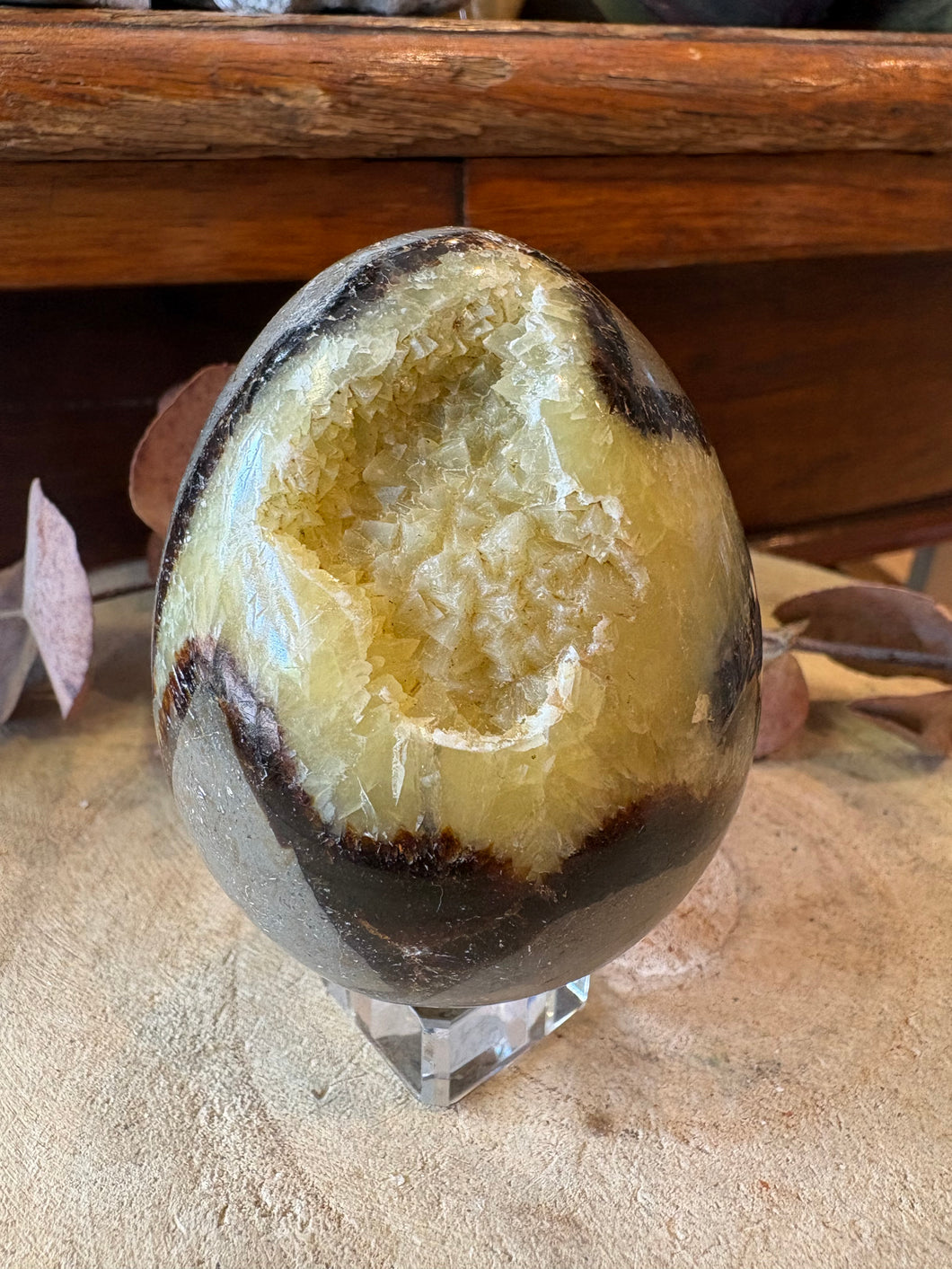 Septarian Egg SKU 27093