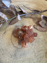 Aragonite Sputnik SKU 24606