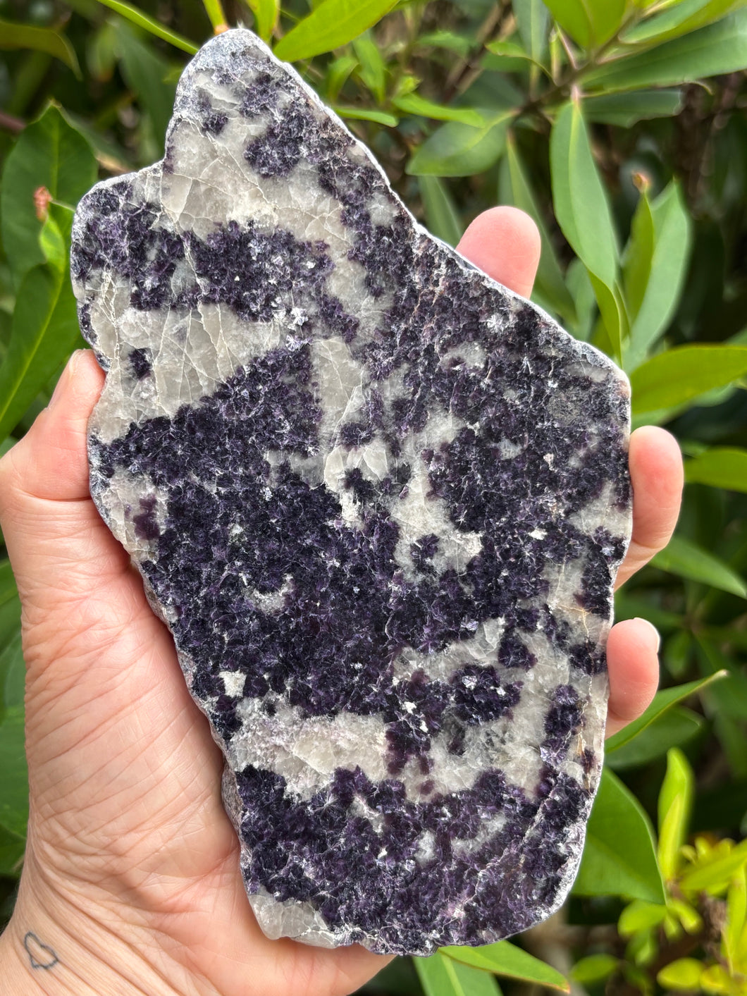 Lepidolite Slab SKU 24442