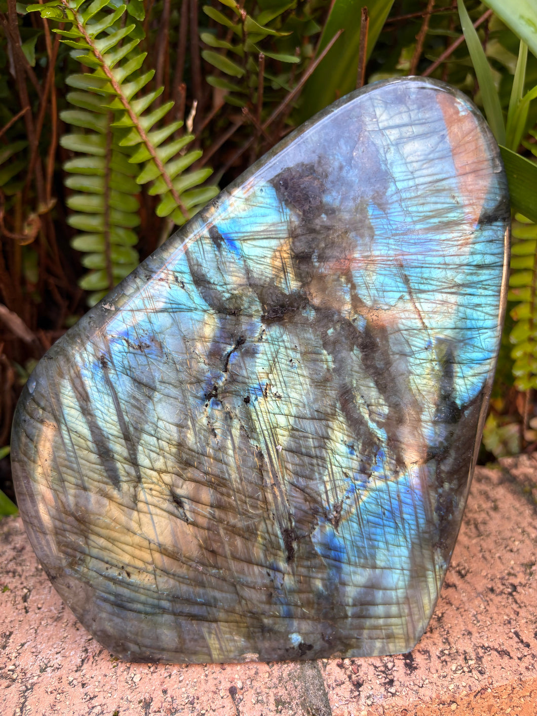 Labradorite Polished Freeform SKU 25468