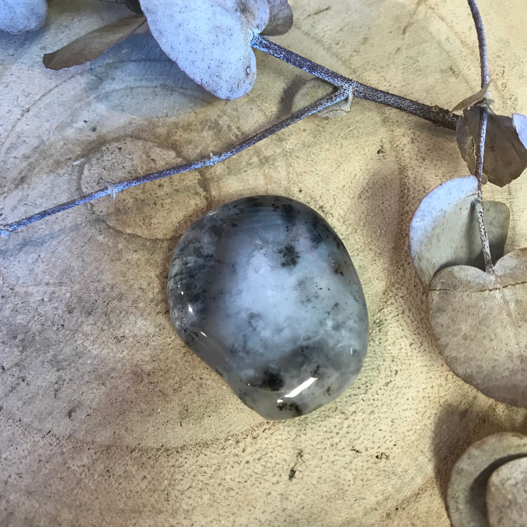 Dendritic Agate Smooth Stone SKU 23053DA