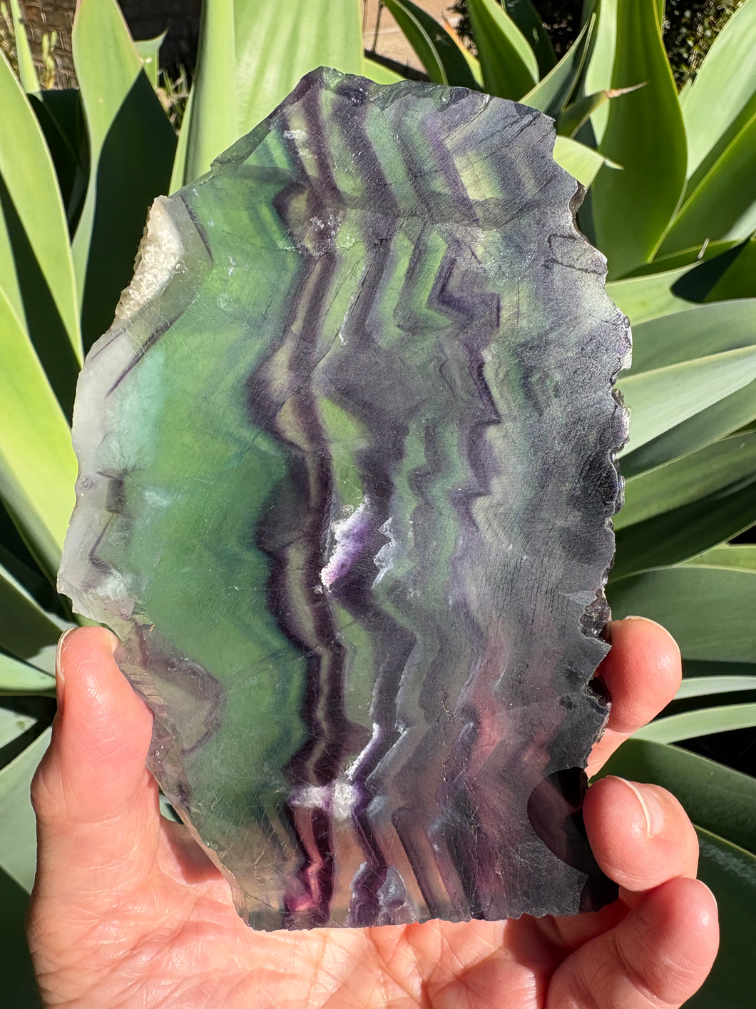Rainbow Fluorite Slice SKU 26620