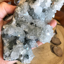 Apophyllite Cluster SKU 23533