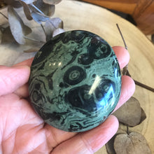 Kambaba Jasper Palm Stone SKU 23308