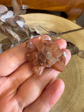 Aragonite Sputnik SKU 24606