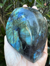 Labradorite Freeform SKU 24896