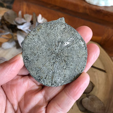 Pyrite Sun SKU 22913