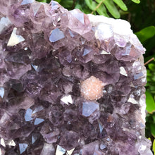 Amethyst Cluster in Metal Stand SKU 23778