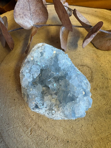 Celestite Cluster SKU 26182