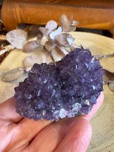 Amethyst Pineapple Cluster SKU 24881