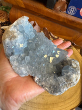 Celestite Cluster SKU 26262