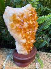 Citrine Cluster in Wooden Stand SKU 24909