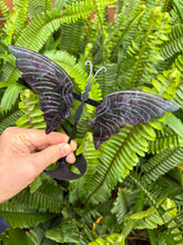 Rainbow Fluorite Butterfly Wings on Stand SKU 25133