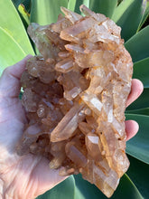 Tangerine Quartz Cluster SKU 26628