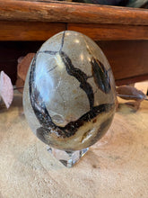 Septarian Egg SKU 27093