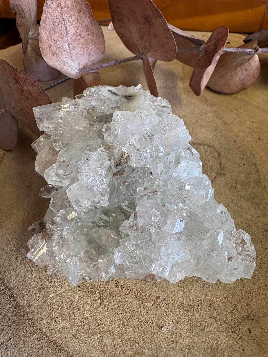 Apophyllite Cluster SKU 26192