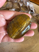 Tiger Eye Palm Stone SKU 24496
