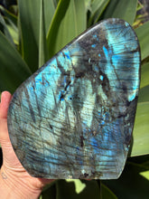Labradorite Polished Freeform SKU 25468