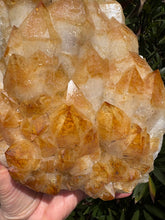 Citrine Large Cluster SKU 25332