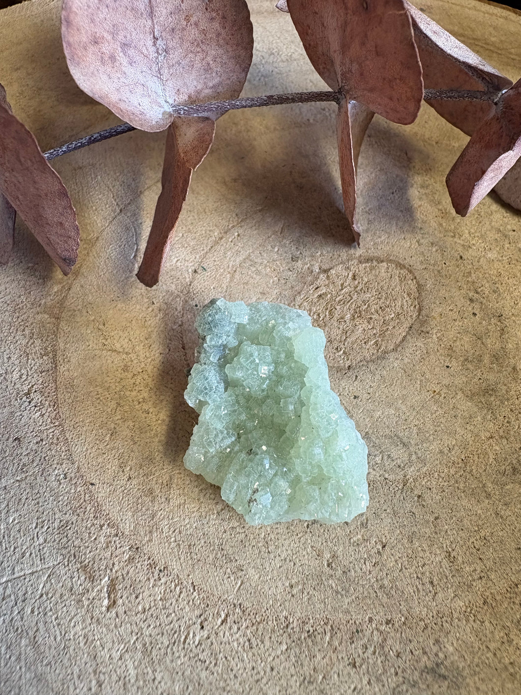 Prehnite Specimen SKU 26149