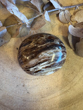 Black Opal Palm Stone SKU 24561