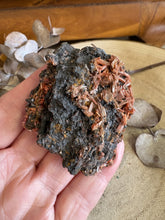 Crocoite Mineral Specimen SKU 14261B