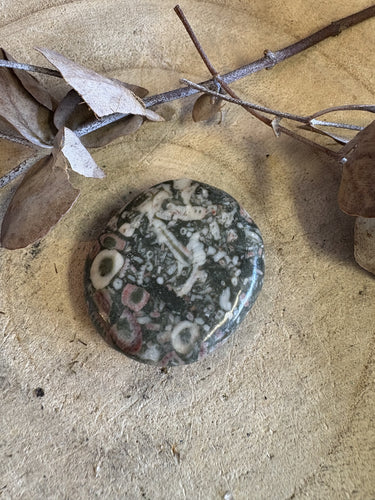 Crinoid Jasper Smooth Stone SKU 24273