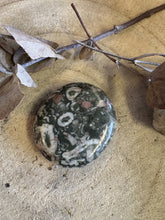 Crinoid Jasper Smooth Stone SKU 24273