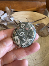 Crinoid Jasper Smooth Stone SKU 24273