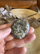 Crinoid Jasper Smooth Stone SKU 24273