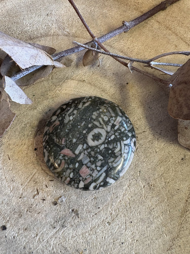 Crinoid Jasper Smooth Stone SKU 24273A