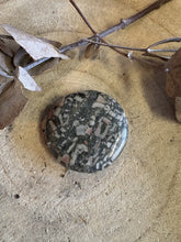 Crinoid Jasper Smooth Stone SKU 24273A