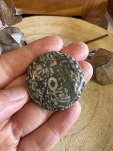 Crinoid Jasper Smooth Stone SKU 24273A