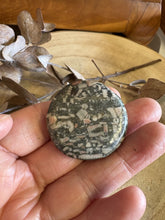 Crinoid Jasper Smooth Stone SKU 24273A