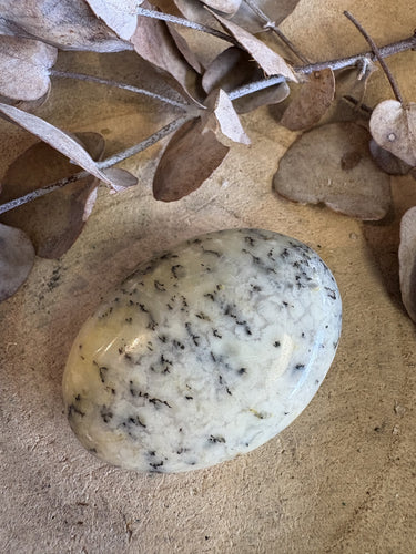 Dendritic Opal Palm Stone SKU 24492