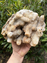 Quartz on Chalcedony Cluster SKU 23495