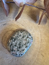 Crinoid Jasper Smooth Stone SKU 25467B