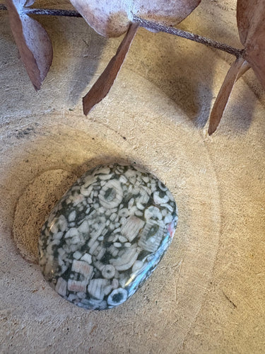 Crinoid Jasper Smooth Stone SKU 25467B