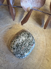 Crinoid Jasper Smooth Stone SKU 25467B