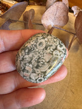Crinoid Jasper Smooth Stone SKU 25467B