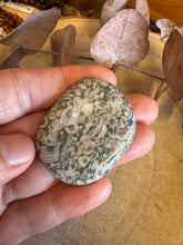 Crinoid Jasper Smooth Stone SKU 25467B