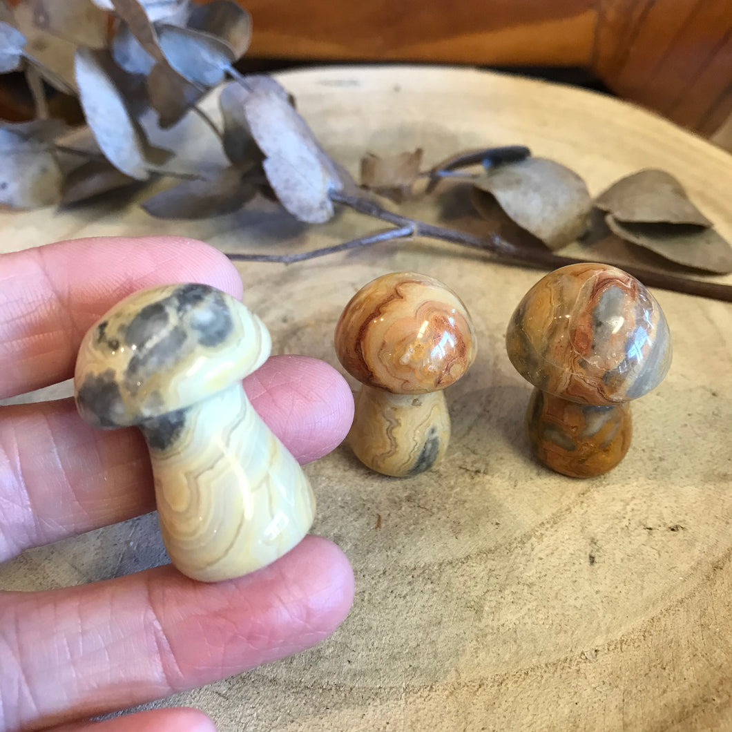 Crystal Mushroom Carvings