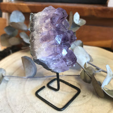 Amethyst Cluster on Stand SKU 22282B