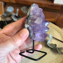 Amethyst Cluster on Stand SKU 22282C