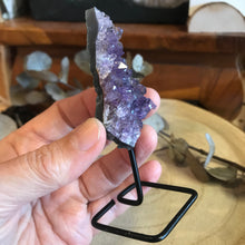 Amethyst Cluster on Stand SKU 22282E