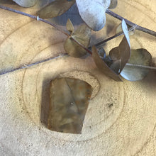 Ammonite Cabouchon SKU 17565