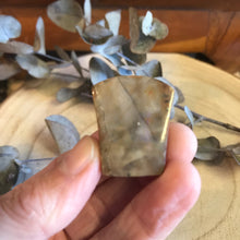 Ammonite Cabouchon SKU 17565